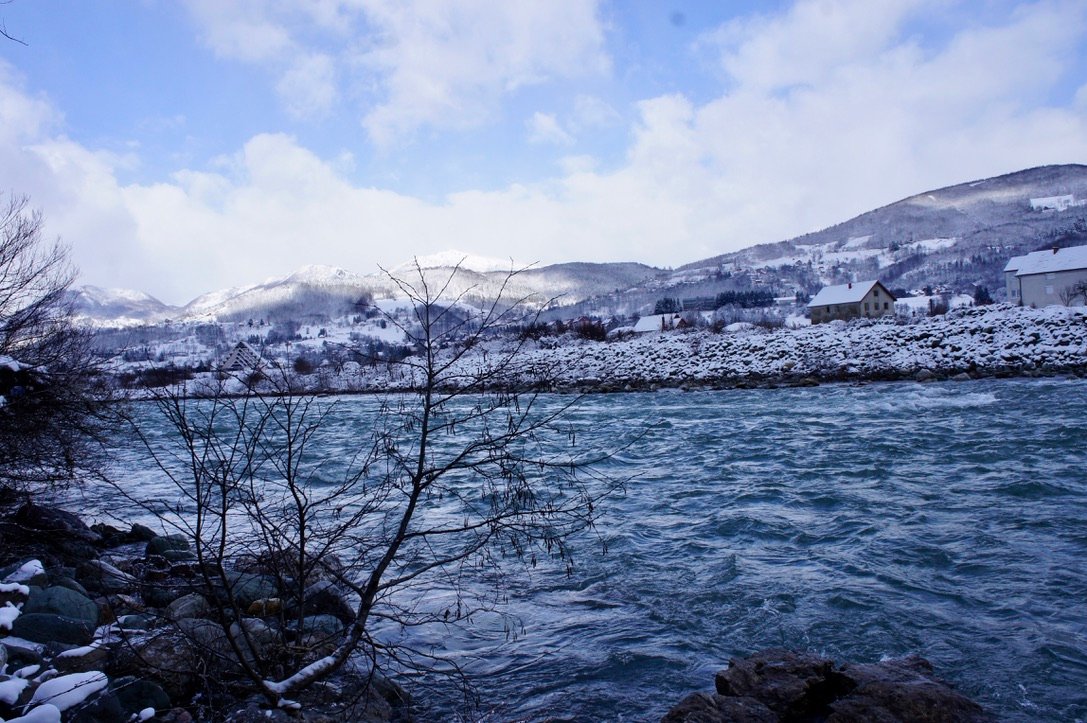 21077230-cfbd-441e-856a-408730165184_1_105_c