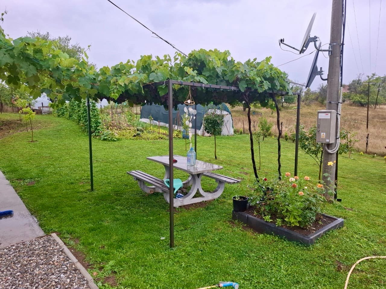 514f731d-4b84-459c-bd63-694bd61b6c5c