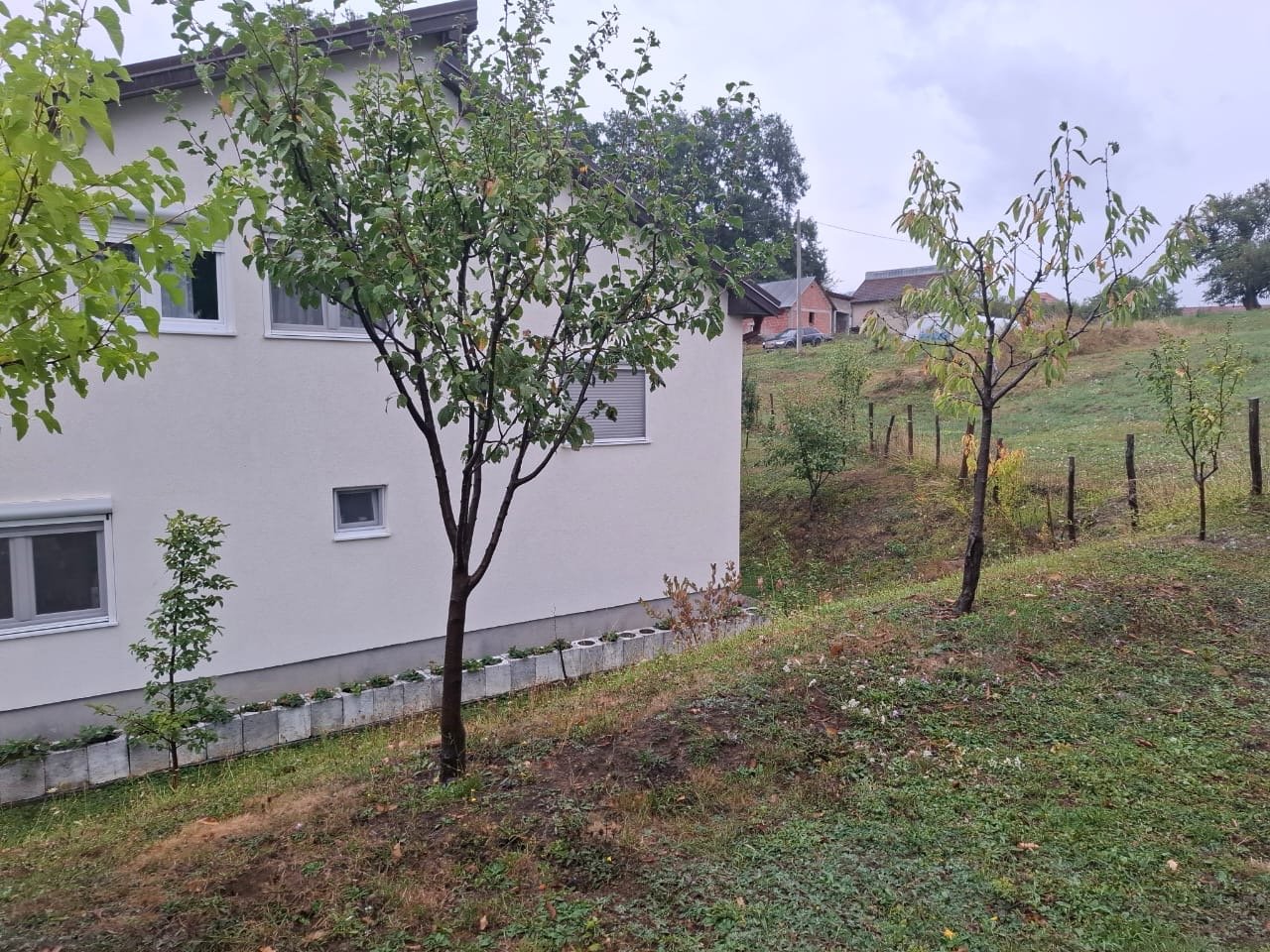 814fae71-f64d-4c9d-9135-058a8731ca56-2